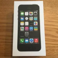 iPhone5s 空箱ケース イヤホン付き