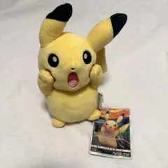 超レア ムンク展限定 ムンクの叫びver.ピカチュウ ぬいぐるみ - メルカリ
