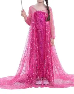 アナと雪の女王　エルサドレス