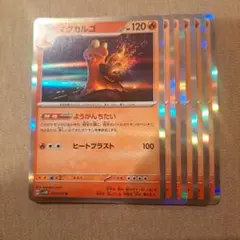 マグカルゴ　6枚セットのサムネイル