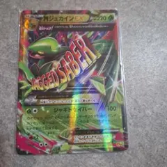 MジュカインEX RR XY7 008/081 バンデットリング