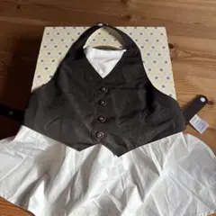 Item thumbnail for item 15011102-1b4e-42fc-b7f0-b979f69db6ea