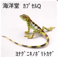 カプセルQミュージアム ヨナグニキノボリトカゲ 内袋未開封品 海洋堂