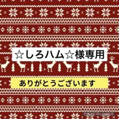 ☆しろハム☆様専用