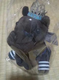 Item thumbnail for item f9154357-885d-4e4b-b816-4d389b009cb2