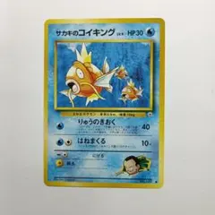 2026年最新】サカキのコイキングの人気アイテム - メルカリ