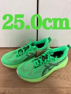 【新品！未使用！】ASICS NOVABLAST 5 25.0cm