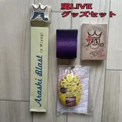 嵐LIVETOUR グッズセット