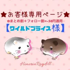 ワイルドブライス様 リクエスト 2点 まとめ商品