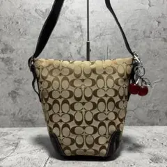 Coach Signature Leather Brown Bucket Bag