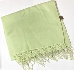 新品未使用TOPKAPIトプカピ シルクカシミヤストール 春ミントカラー