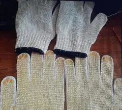 Item thumbnail for item 27002ec7-7d89-407d-9cfb-e8412c735789