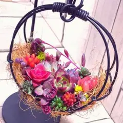 【TL A27】鮮やか多肉のカラフル寄せ植え♬ ミニかご寄せ♬ 吊り下げ♬