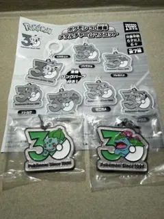 ポケモン メタルチャームマスコット