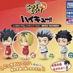 こっちむいてFig. ハイキュー！！Vol.2 孤爪研磨