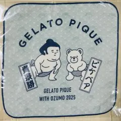 2025年最新】貴景勝の人気アイテム - メルカリ