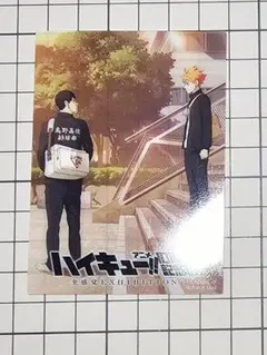 ハイキュー!! 10周年記念展　入場特典　EXHIBITION カード