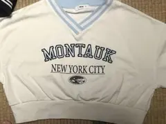 WEGO トレーナー クロップド丈 レディース 女子