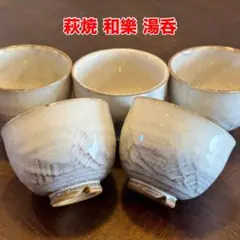 【共箱付】萩焼 和楽 汲出 焼物 茶碗 湯呑 茶会 茶道 陶器 5個セット 新品