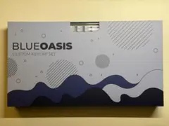 WS Blue Oasis Keycapset