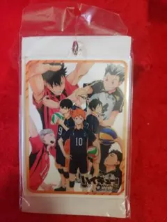 Item thumbnail for item e6d746ce-ad25-4bcb-89ed-8500a7da34a0