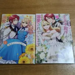 花屋=式(はなやしき) 1, 2 全巻完結 初版 紅林直 - メルカリ