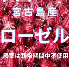 宮古島産 ローゼル 農薬不使用だんしゃり様専用
