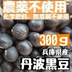 オークション限定 7年産 北海道産 黒大豆1kg - メルカリ