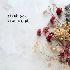 ♡ いぬほし様専用 ♡