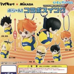 ハイキュー!! × MIKASA ぶら〜ん！コラボスイング 影山飛雄 日向翔陽