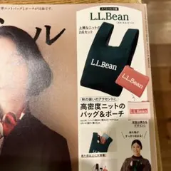 L.L.Bean 高密度ニットバッグ＆ポーチ 2点セット