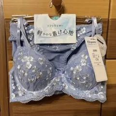 ブラジャーショーツセット c70