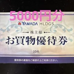 ヤマダ電機　お買物優待券 10枚