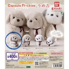 カプセルフロッキーズ うめ吉 うめ吉 ベージュ抱き