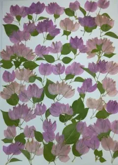 Village263830様 リクエスト 7点 まとめ商品