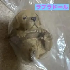 Item thumbnail for item f77a70b9-5139-47e0-bed4-7b69a69540c9