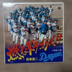 中日ドラゴンズ 野球盤 ツクダ ナゴヤ球場 ドラゴンズスタジアム