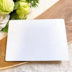 動作確認清掃済みApple Magic Trackpad 2 A1535