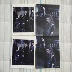 ハリー・ポッター ポストカード ベラトリックス、マルフォイ一家の4枚セット