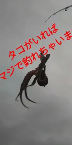 タカトクトイス オーガス ガウォーク•イシュキック パーツ シール未