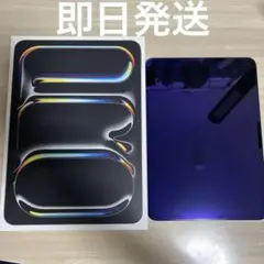 Apple iPad Pro M4 11インチ シルバー pitakaケース付き