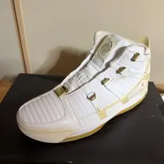 NIKE LEBRON バスケットボールシューズ