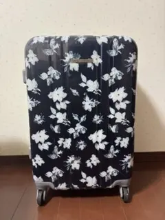 Item thumbnail for item e1a20482-1310-40bb-b840-fc64fd40f834