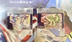 ポケモン フレンダ ベストタッグ4弾　スーパートレジャー カビゴン　バンギラス