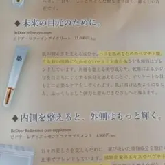 BeDoor レイディエッセンス パーフェクトクリーム 22g