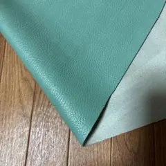 ヒヨッコさま専用 NO667