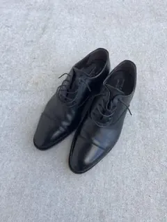 Item thumbnail for item 25872376-c8d5-4a22-afdd-a9639ee3c4e8