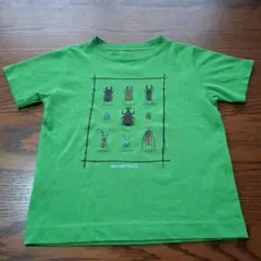 極美品モンベルmont-bell昆虫Tシャツ100センチ男の子
