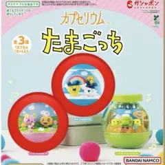 たまごっち　カプセリウム　まめっち　みみっち　ふらわっち　めめっち　ガチャ