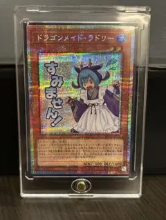 【匿名】ドラゴンメイド・ラドリー プリシク